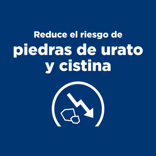 Alimento Hills Urinary Care U/D Para Perros Adultos