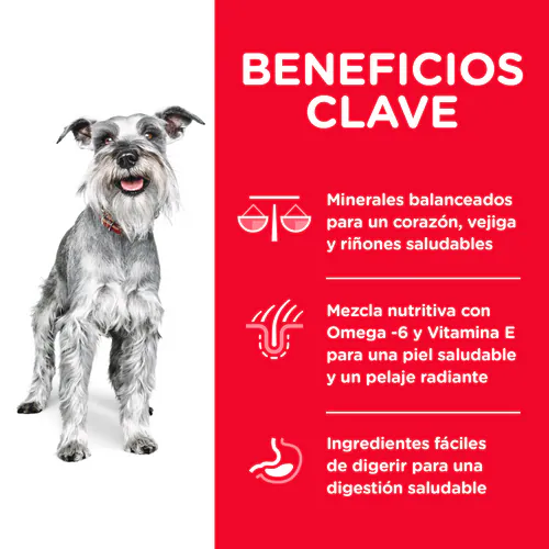 Alimento Hills Small Paws Mini 7+ Para Perros Adultos Senior