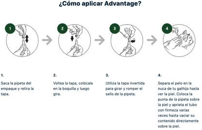 Medicamento Antipulgas Advantage para Gatos de 4 a 8 Kilos