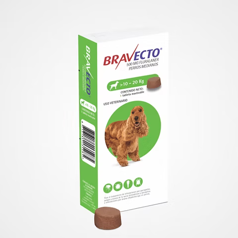 Medicamento Bravecto Antipulgas Masticable para Perros de 10 a 20 Kg