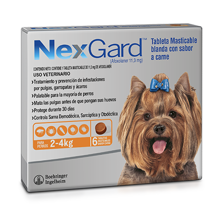 Medicamento Nexgard Antipulgas Masticable para Perros de 2 a 4 Kg