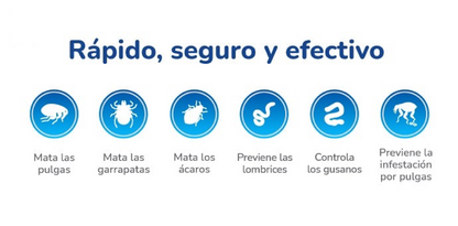 Medicamento Nexgard Antipulgas Masticable para Perros de 2 a 4 Kg