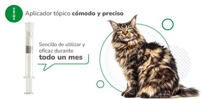 Medicamento Nexgard Combo Antiparasitario y Externo Topico para Gatos de hasta 2.5 Kg