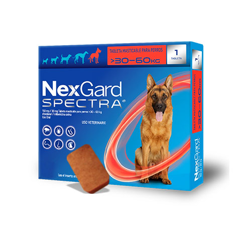 Medicamento Nexgard Spectra Antiparasitario y Externo Masticable para Perros de 30 a 60 Kg