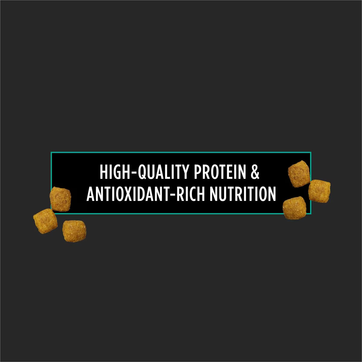 Alimento Pro Plan EN Gastrointestinal para Perros Adultos