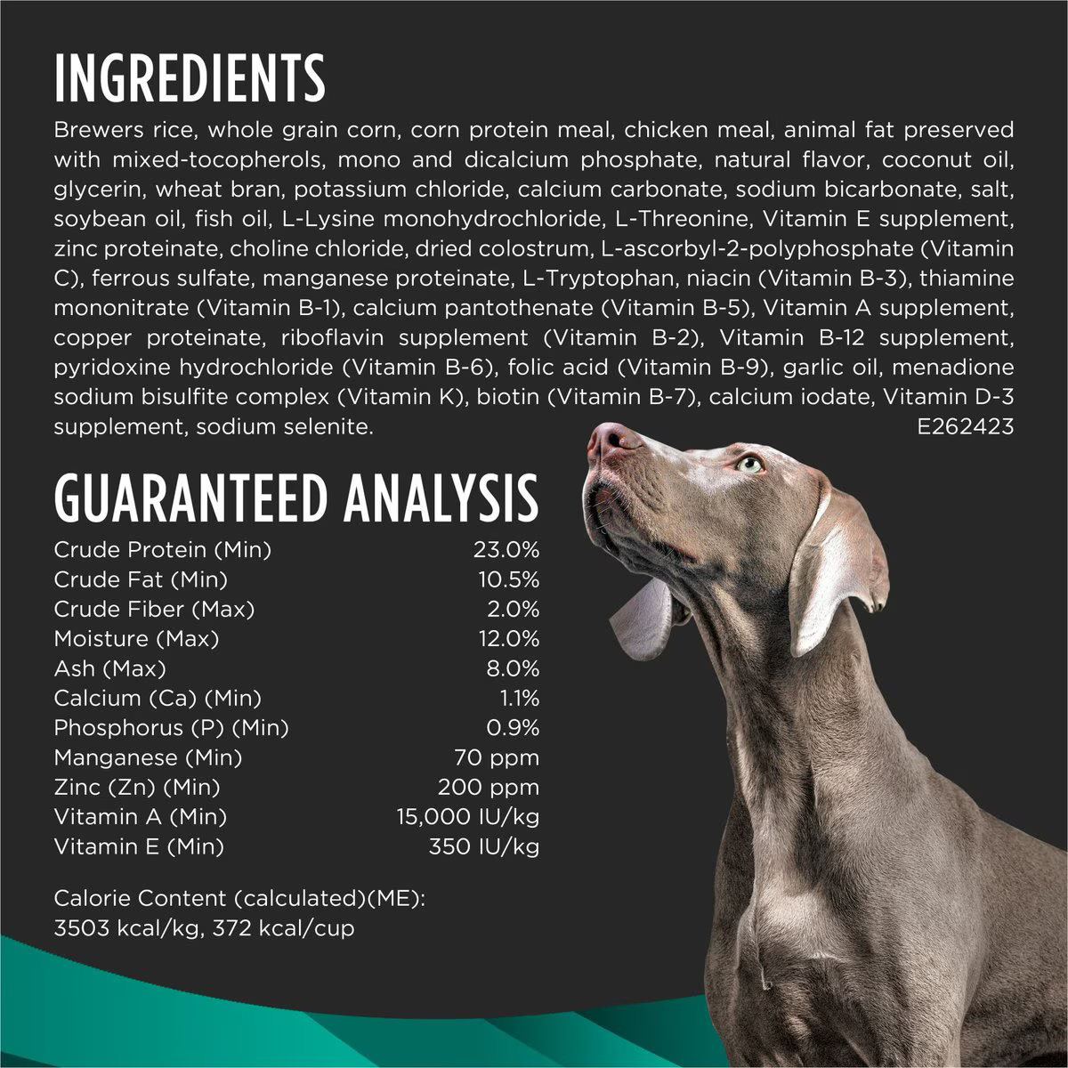 Alimento Pro Plan EN Gastrointestinal para Perros Adultos