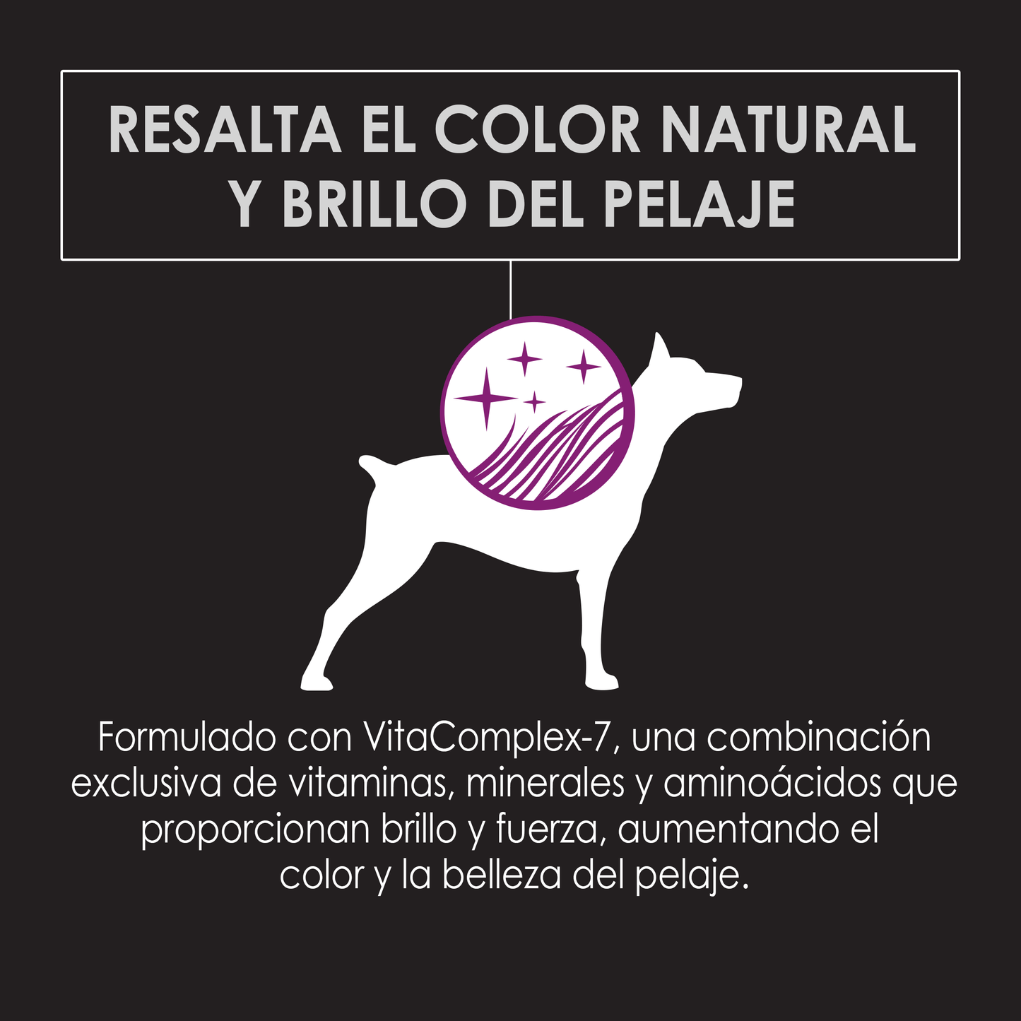 Alimento Pro Plan Exigent Razas Pequeñas para Perros Adultos