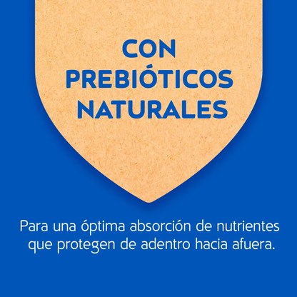 Alimento Cat Chow Gatitos para Gatos Sabor a Pescado