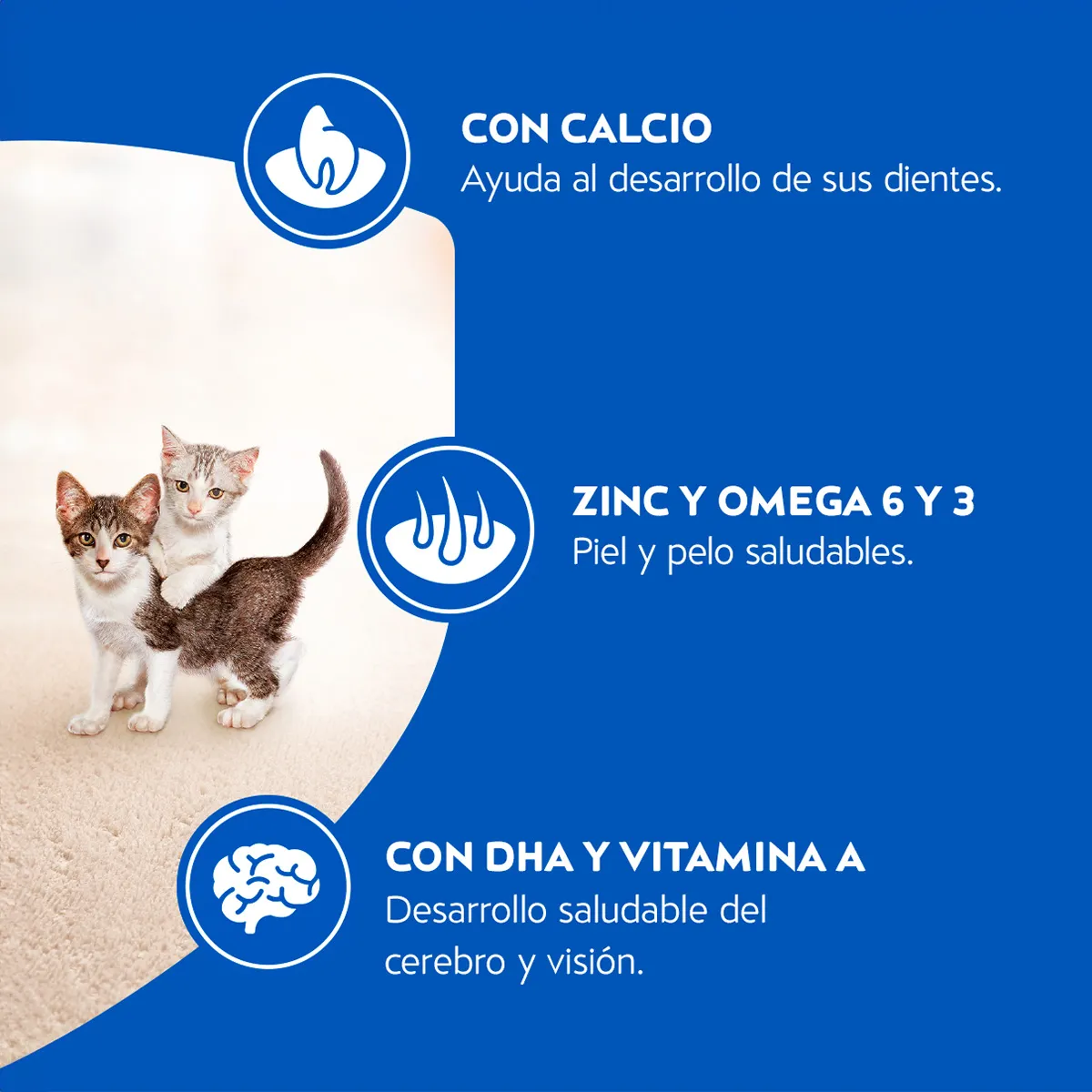 Alimento Cat Chow Gatitos para Gatos Sabor a Pescado