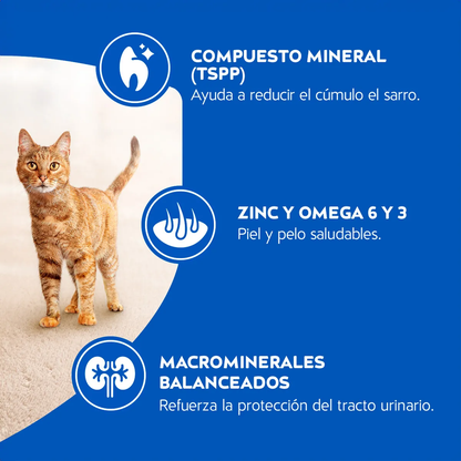 Alimento Cat Chow para Gatos Adultos Sabor a Carne
