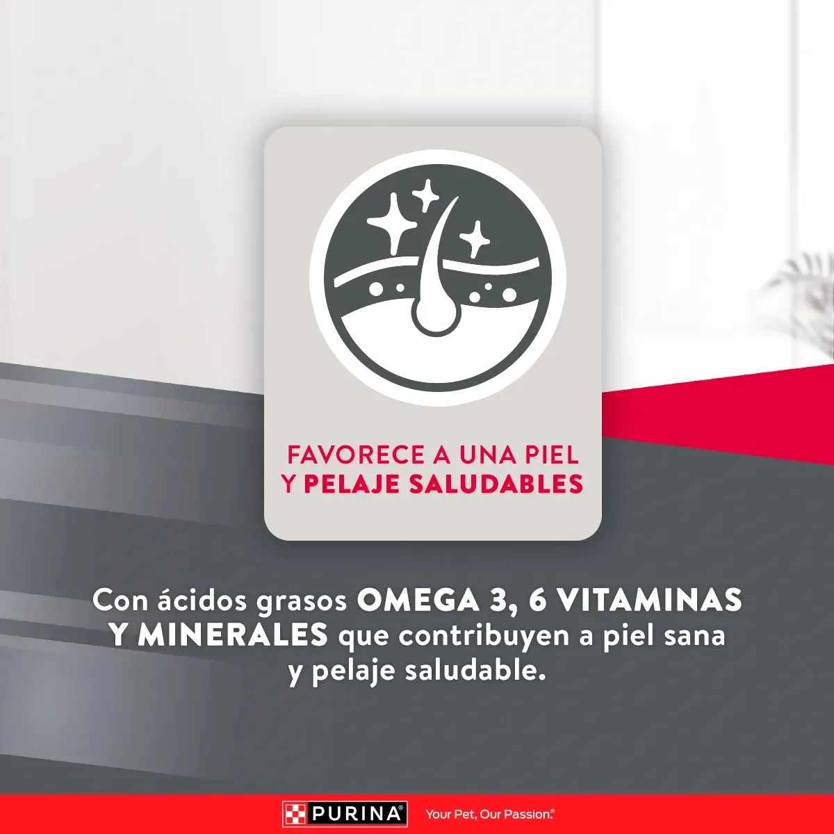 Alimento Purina Excellent Mantenimiento Adulto para Perros