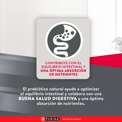 Alimento Purina Excellent Mantenimiento Adulto para Perros