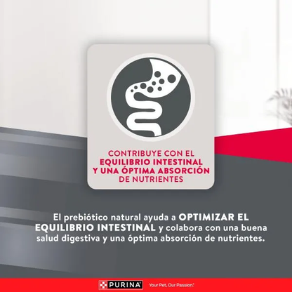 Alimento Purina Excellent Razas Medianas y Grandes para Perros Adultos