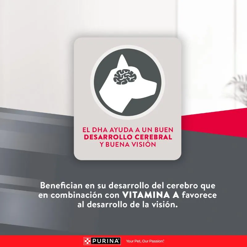 Alimento Purina Excellent Razas Medianas y Grandes Puppy para Perro Cachorro