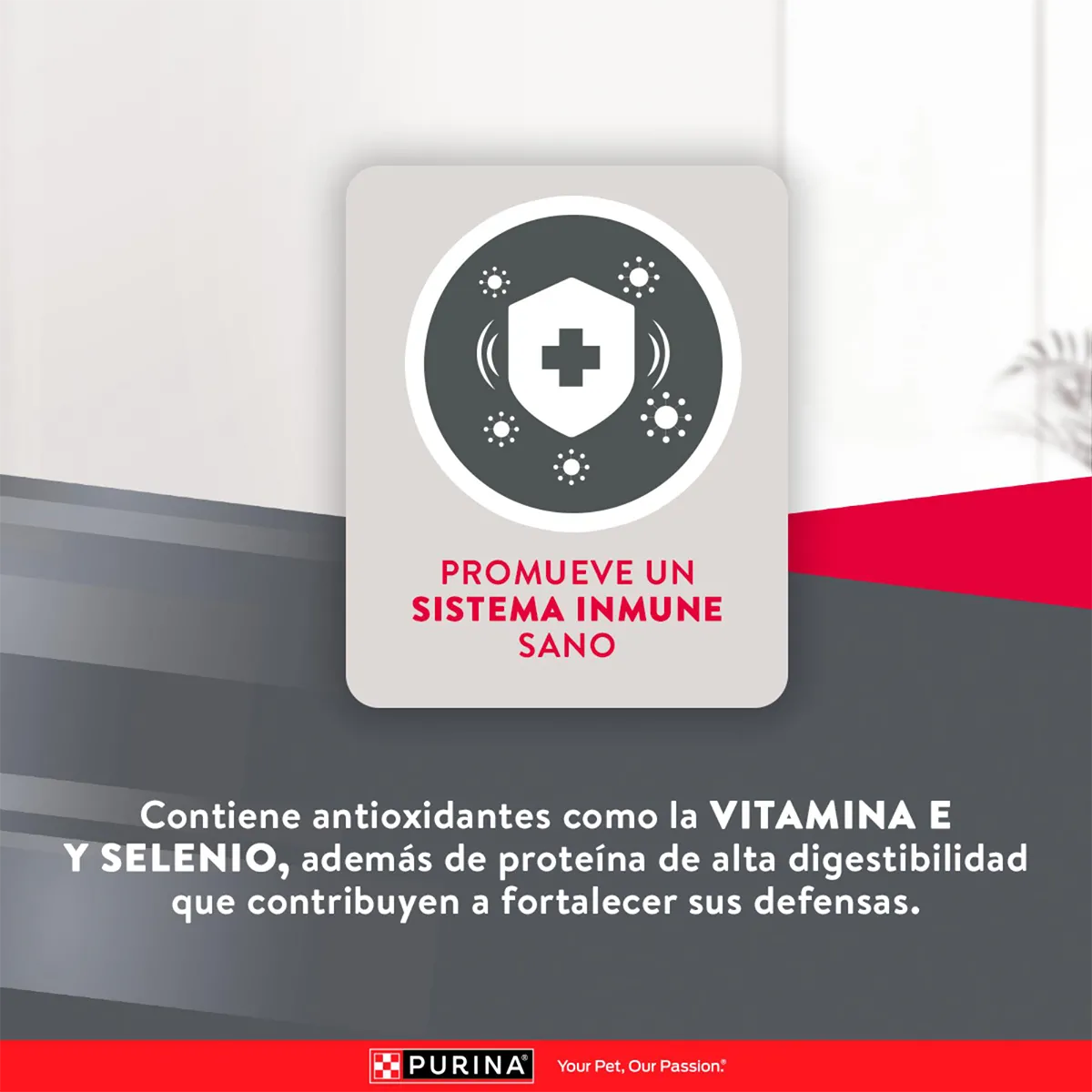 Alimento Purina Excellent Razas Pequeñas para Perros Adultos