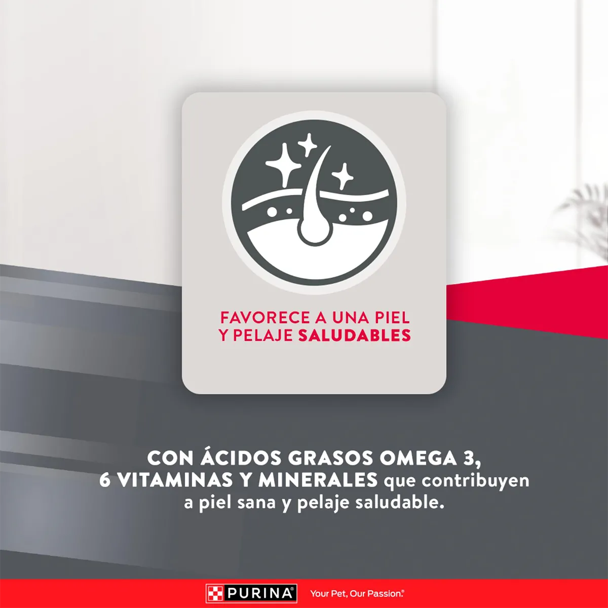 Alimento Purina Excellent Razas Pequeñas para Perros Adultos