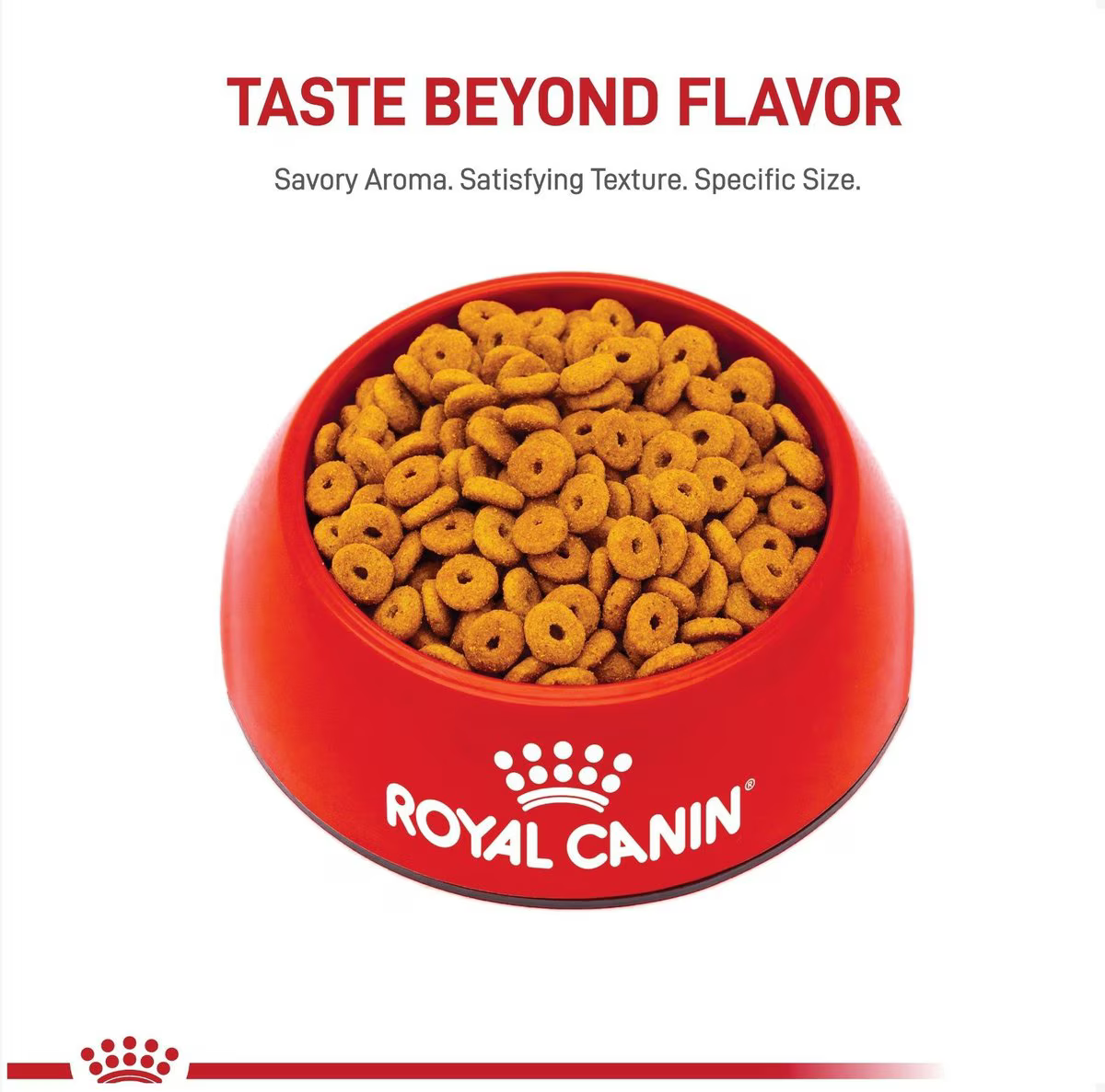 Alimento Royal Canin Appetite Control Care para Gato Adulto