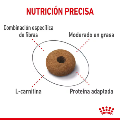 Alimento Royal Canin Appetite Control Care para Gato Adulto