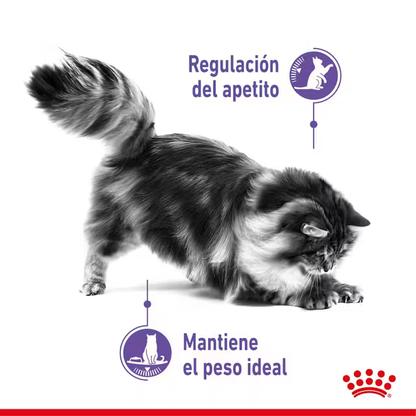 Alimento Royal Canin Appetite Control Care para Gato Adulto