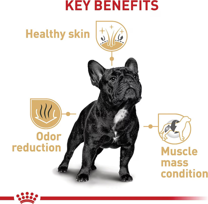 Alimento Royal Canin Bulldog Frances Perro Adulto