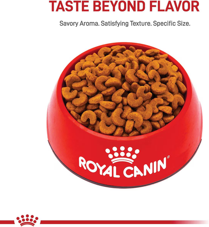 Alimento Royal Canin Bulldog Frances Puppy Perro Cachorro