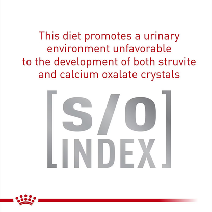 Alimento Royal Canin Gastrointestinal Para Gato Adulto