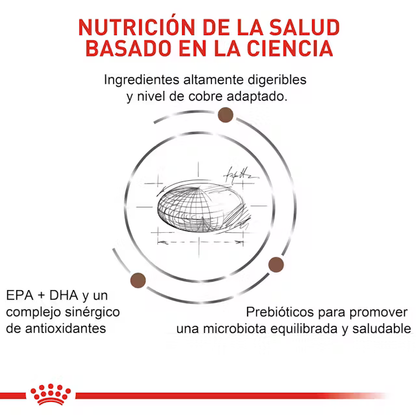Alimento Royal Canin Hepatic para Gato Adulto
