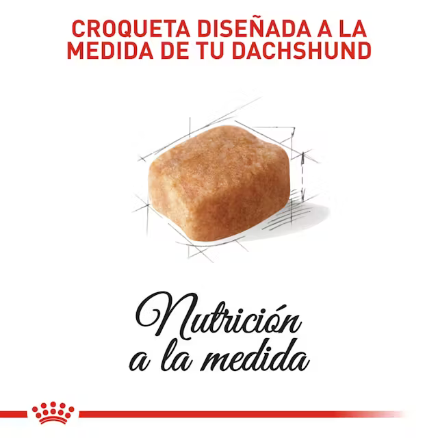 Alimento Royal Canin Dachshund para Perro Adulto