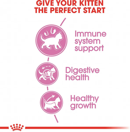 Alimento Royal Canin Kitten para Gato Gatito