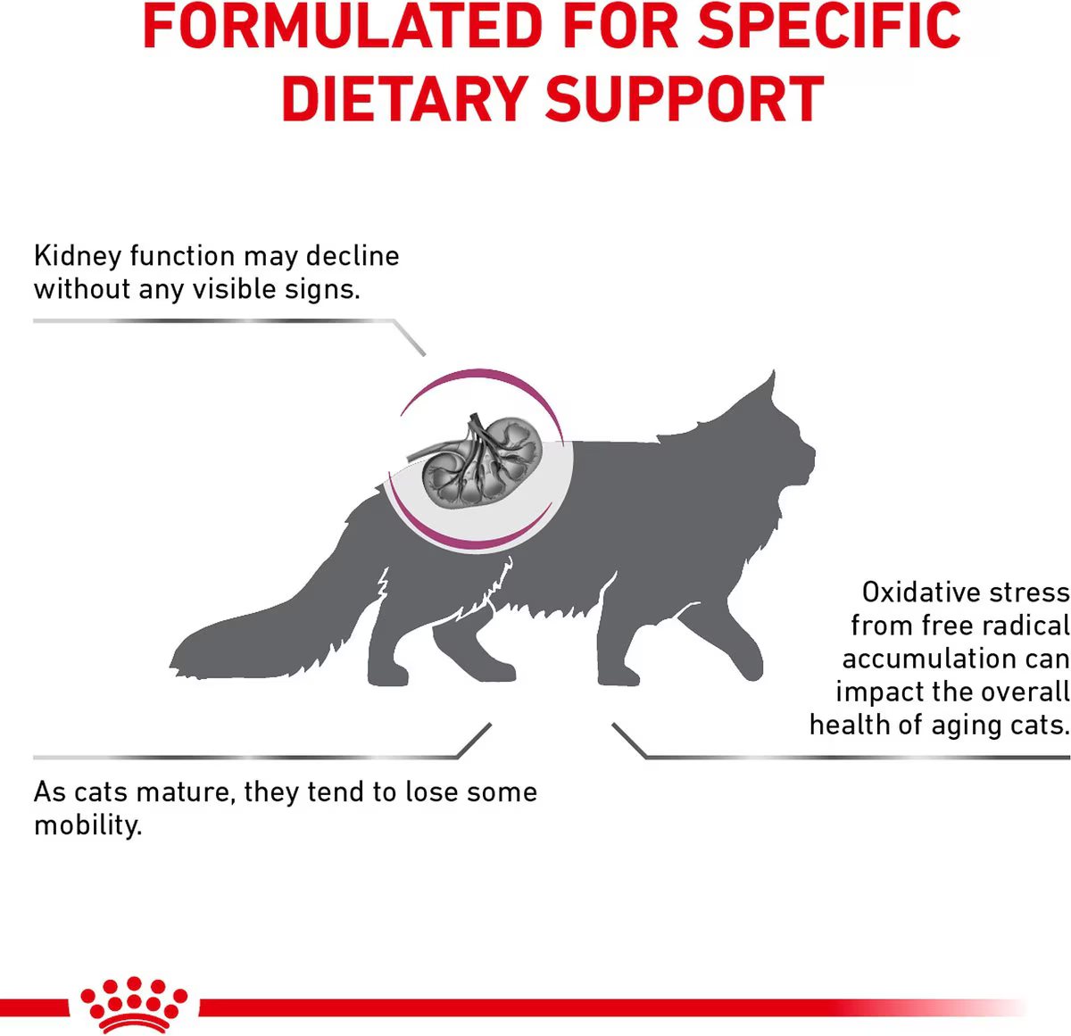 Alimento Royal Canin Renal para Gato Adulto