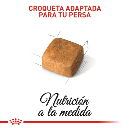 Alimento Royal Canin Persa Kitten para Gato Gatito