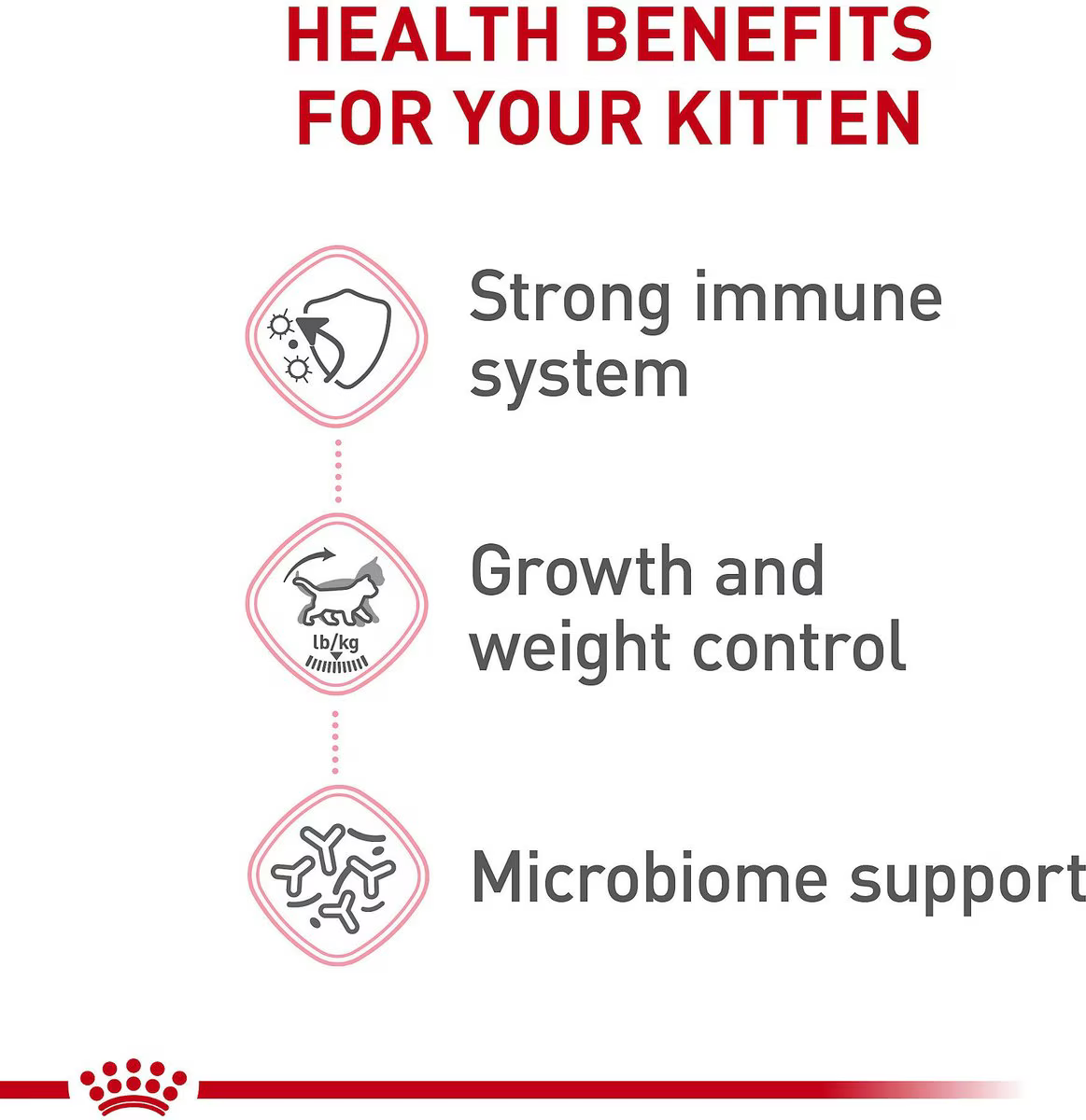 Alimento Royal Canin Sterilised Kitten para Gato Gatito Esterilizado