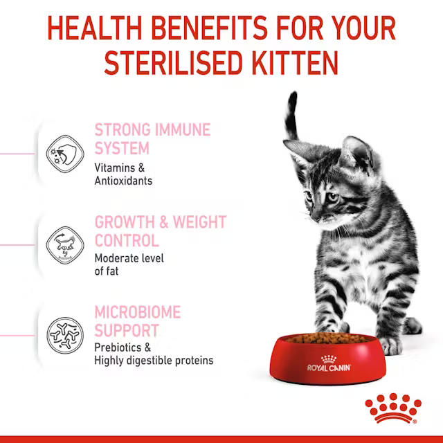 Alimento Royal Canin Sterilised Kitten para Gato Gatito Esterilizado