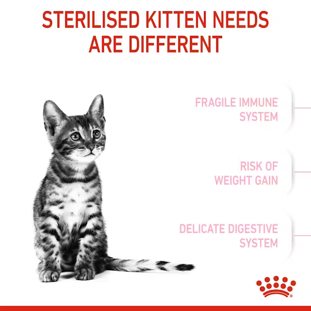 Alimento Royal Canin Sterilised Kitten para Gato Gatito Esterilizado