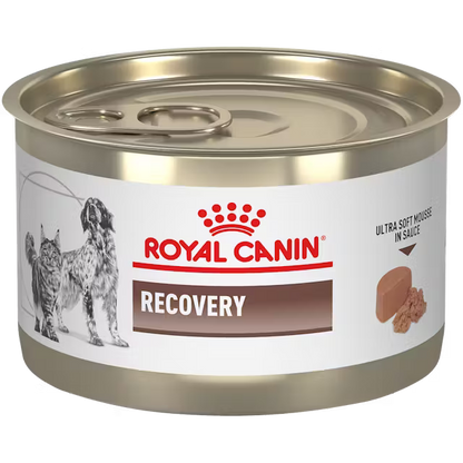 Alimento Húmedo Royal Canin Recovery para Perro y Gato Adulto