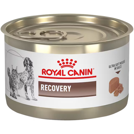 Alimento Húmedo Royal Canin Recovery para Perro y Gato Adulto