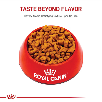 Alimento Royal Canin Pug para Perro Adulto