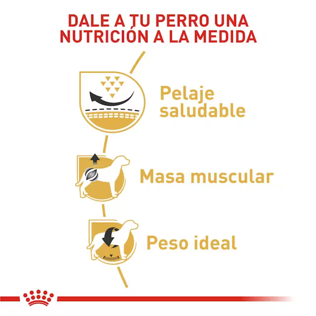 Alimento Royal Canin Pug para Perro Adulto