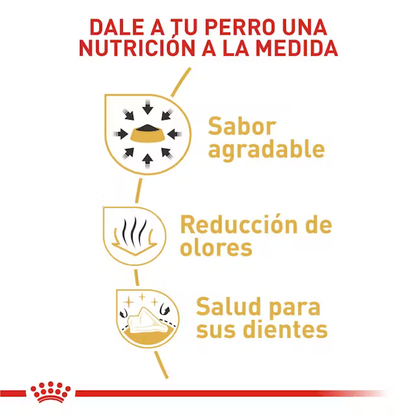 Alimento Royal Canin Chihuahua Perro Adulto
