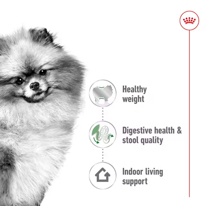 Alimento Royal Canin Mini Indoor para Perro Adulto Raza Pequeña