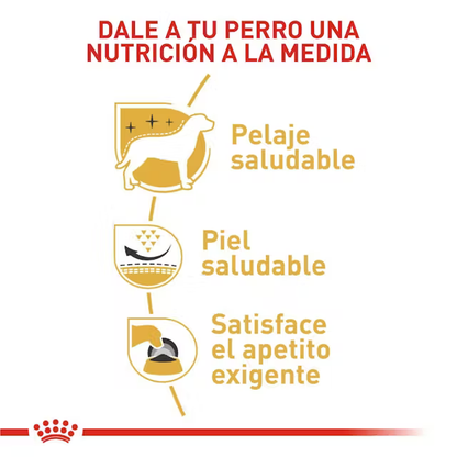 Alimento Royal Canin West Highland White Terrier Perro Adulto