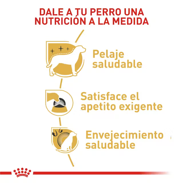 Alimento Royal Canin Yorkshire Terrier para Perro Adulto