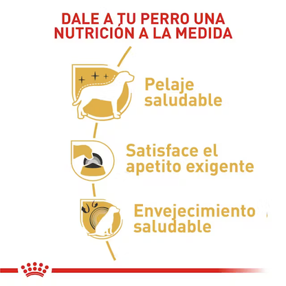 Alimento Royal Canin Yorkshire Terrier para Perro Adulto
