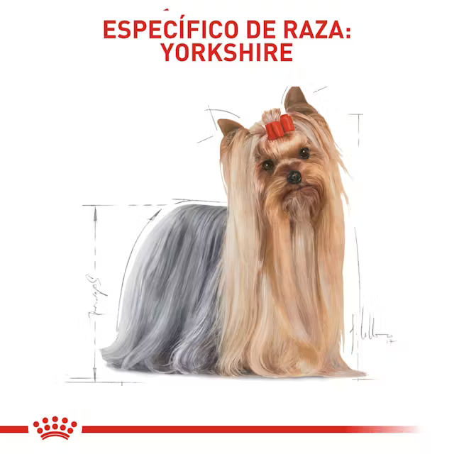 Alimento Royal Canin Yorkshire Terrier para Perro Adulto