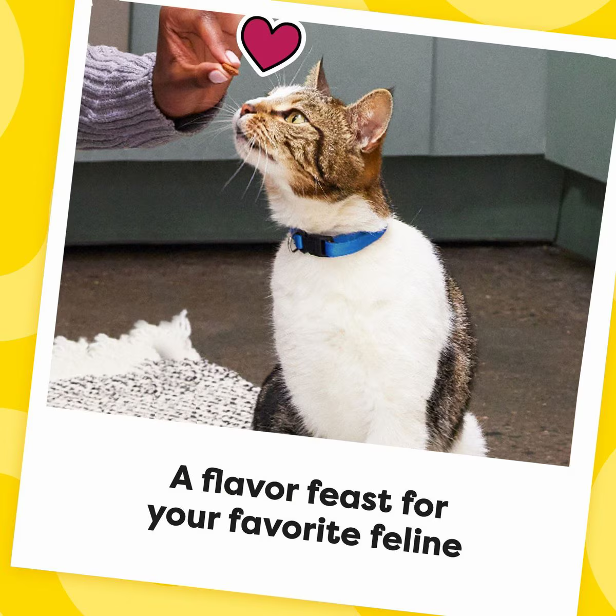 Snack Galletas Temptations Sabor a Pollo, Carne e Higado para Gato